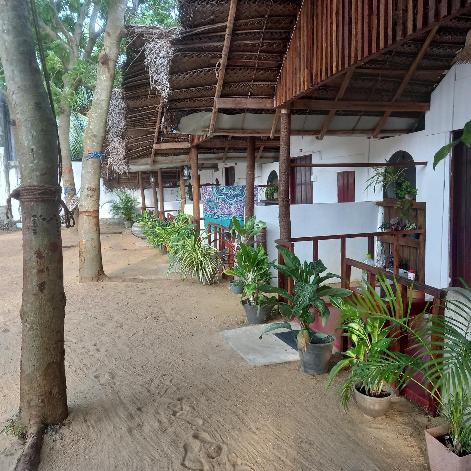 Bamboo Bay Hotel Arugam Bay Eksteriør billede